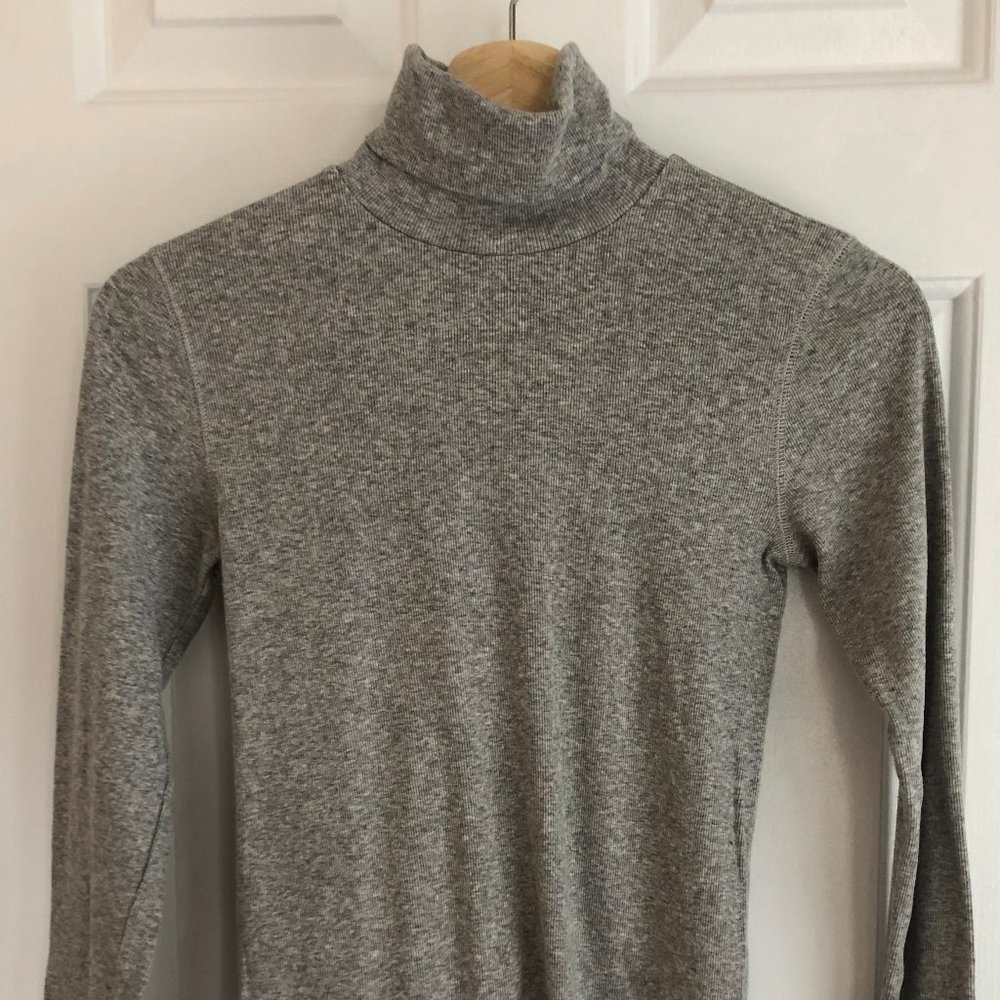 Everlane Pima Micro-rib Turtleneck